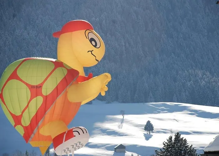 High Mountain - Great Views * Chateau-d'Oex