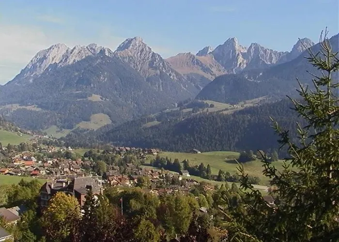 High Mountain - Great Views * Chateau-d'Oex