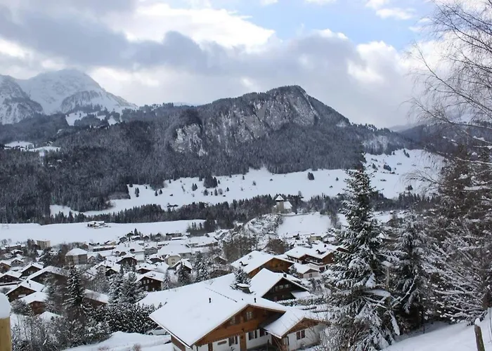 High Mountain - Great Views * Chateau-d'Oex